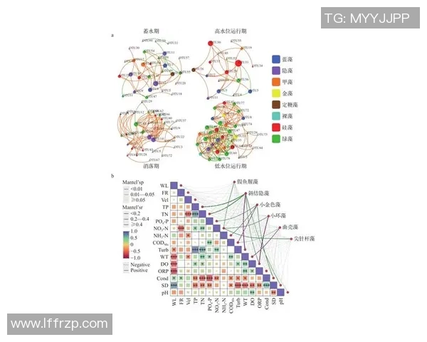 上海足球队在选拔赛中的速度优势分析与表现点评